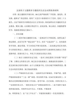 支部班子主题教育专题组织生活会对照检查材料.docx