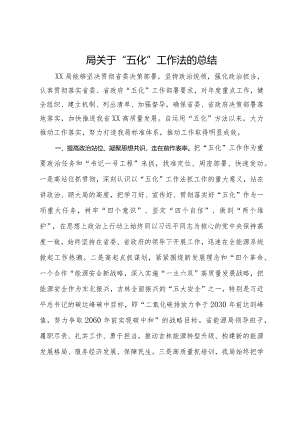 局关于“五化”工作法的总结.docx