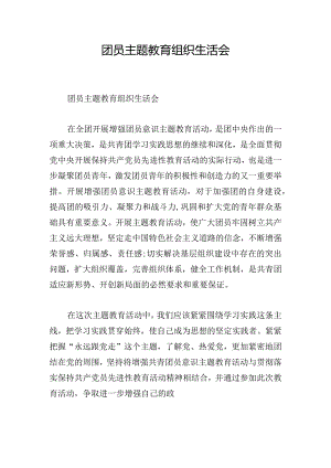 团员主题教育组织生活会.docx