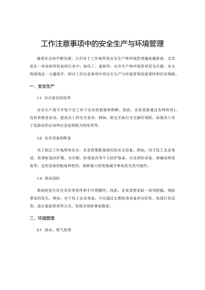 工作注意事项中的安全生产与环境管理.docx