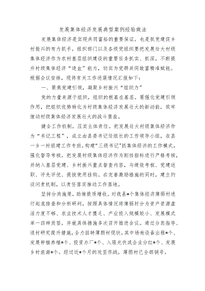 发展集体经济发展典型案例经验做法.docx