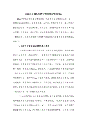 支部班子组织生活会整改落实情况报告.docx