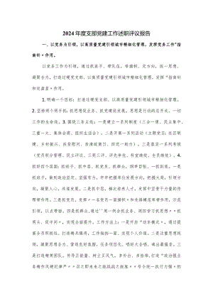 2024年度支部党建工作述职评议报告.docx