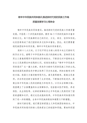 铸牢中华民族共同体意识,推进新时代党的民族工作高质量发展学习心得体会（共九篇）汇编.docx