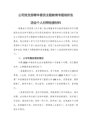 公司党支部青年委员主题教育专题组织生活会个人对照检查材料.docx