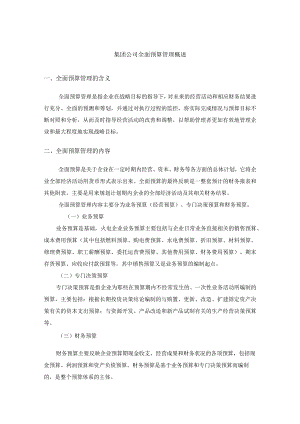 集团公司全面预算管理概述.docx