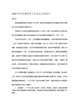 2024年在市委农村工作会议上的发言.docx