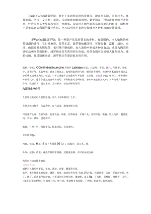 九层塔食疗作用.docx