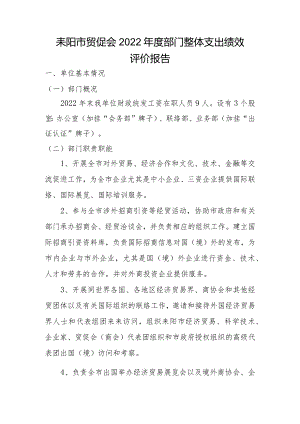 耒阳市贸促会2022年度部门整体支出绩效评价报告.docx