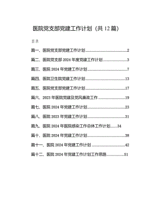 医院党支部党建工作计划12篇（详细版）.docx