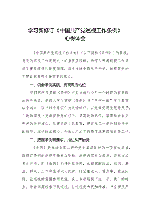乡镇书记学习2024新修订中国共产党巡视工作条例心得体会五篇.docx