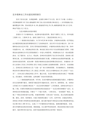 县乡镇林业工作站建设调查报告.docx