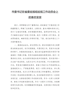 市委书记在省委巡视组巡视工作动员会上的表态发言.docx