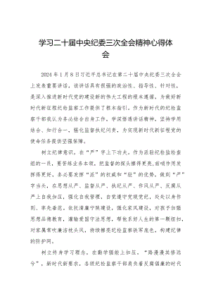 学习二十届中央纪委三次全会精神心得体会十九篇.docx