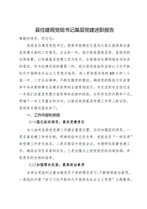 县住建局党组书记基层党建述职报告.docx