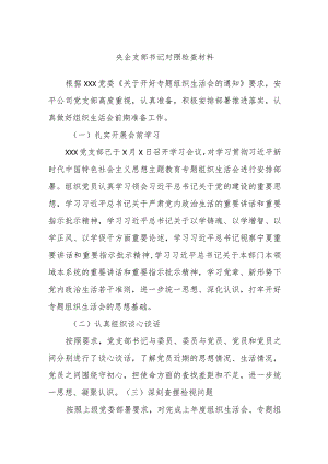 央企支部书记对照检查材料.docx