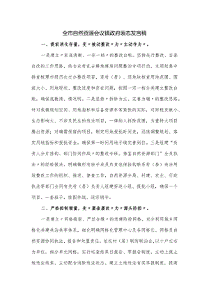 全市自然资源会议镇政府表态发言稿.docx