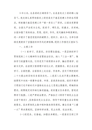 党组织书记抓基层党建工作述职报告.docx