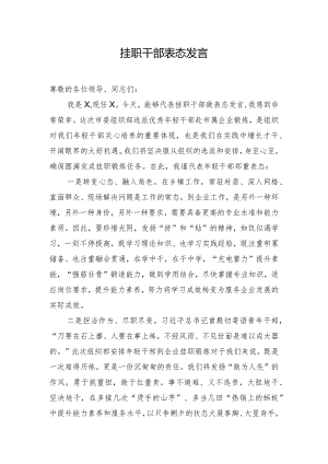 挂职干部表态发言.docx