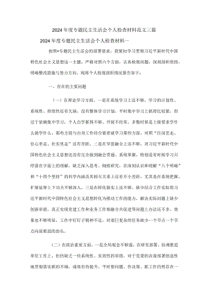 2024年度专题民主生活会个人检查材料范文三篇.docx