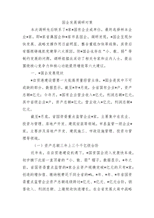 国企发展调研对策.docx