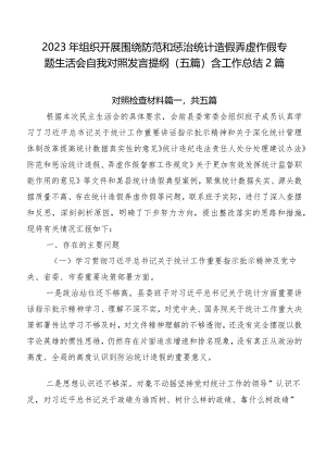 2023年组织开展围绕防范和惩治统计造假弄虚作假专题生活会自我对照发言提纲（五篇）含工作总结2篇.docx