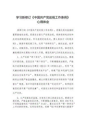镇长书记学习2024新修订《中国共产党巡视工作条例》心得体会五篇.docx