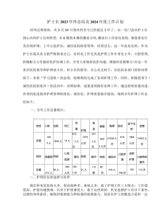 护士长2023年终总结及2024年度工作计划.docx