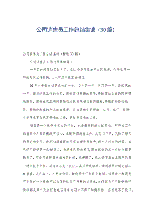 公司销售员工作总结集锦（30篇）.docx
