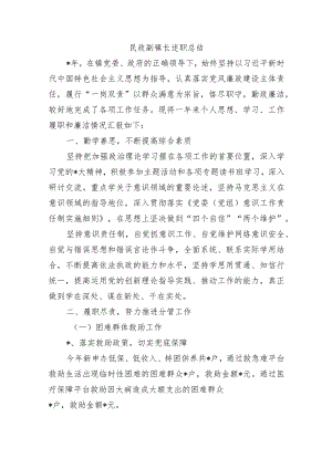 民政副镇长述职总结.docx