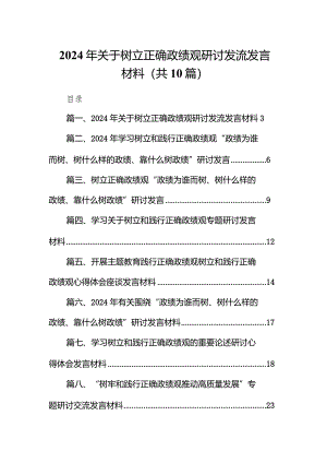 2024年关于树立正确政绩观研讨发流发言材料10篇（详细版）.docx