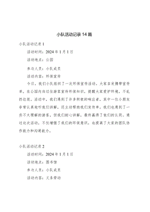 小队活动记录14篇.docx