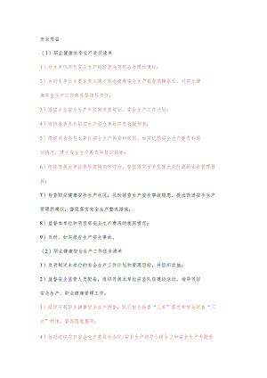 施工安全总监职业健康安全生产责任清单及工作任务清单.docx