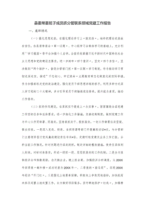 县委常委班子成员抓分管联系领域党建工作报告.docx