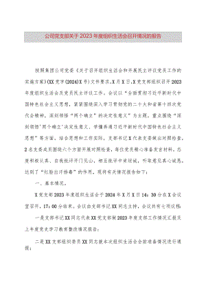 公司党支部关于2023年度组织生活会召开情况的报告.docx