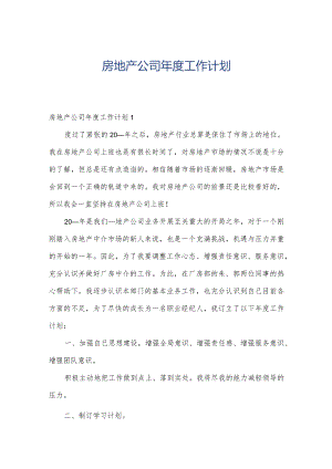 房地产公司年度工作计划.docx