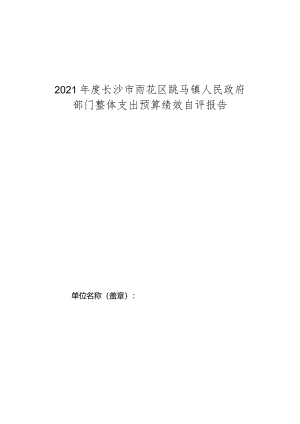 2021年度长沙市雨花区跳马镇人民政府部门整体支出预算绩效自评报告.docx