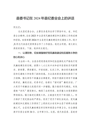 书记在2024年县纪委全会上的讲话.docx
