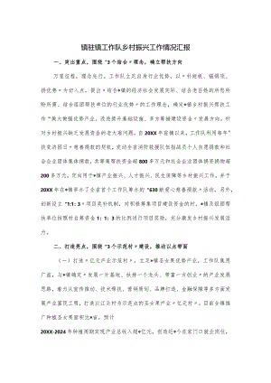 镇驻镇工作队乡村振兴工作情况汇报.docx