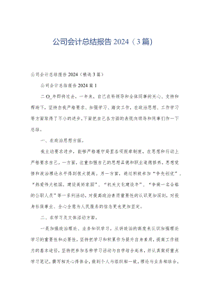 公司会计总结报告2024（3篇）.docx
