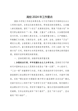 高校2024年工作要点.docx