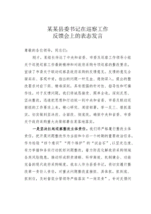 某某县委书记在巡察工作反馈会上的表态发言.docx