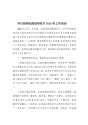 市行政审批局领导班子2023年工作总结&2023年度主题教育专题组织生活会党员个人发言提纲.docx
