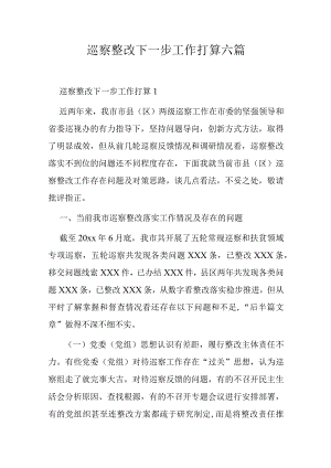 巡察整改下一步工作打算六篇.docx