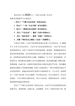 （2篇）2024年二十届中央纪委三次全会精神及重要讲话精神专题研讨发言心得体会.docx