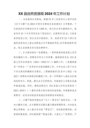 XX县自然资源局2024年工作计划.docx