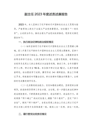 副主任2023年度述责述廉报告.docx