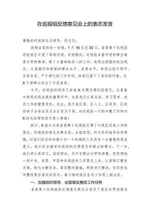 在巡视组反馈意见会上的表态发言.docx