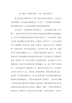 XX市输好“党建引领液”打好“基层治理针”.docx