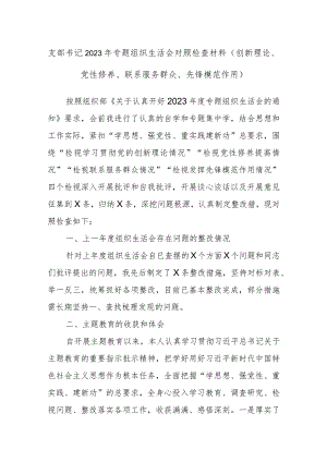 支部书记2023年专题组织生活会对照检查材料（创新理论、党性修养、联系服务群众、先锋模范作用）.docx